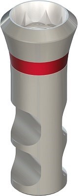 Аналог имплантата RN, L 12 мм, Stainless steel 048.124 - фото 452977