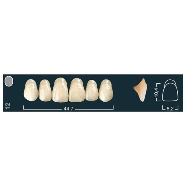 Ivocryl Set A-D - набор фронтальных верхних зубов, UOK12 A4, 6 шт 630628 - фото 460559