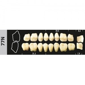 Зубы Major A3,5 77N жевательный низ, 8 шт (Super Lux). st804725 - фото 479231