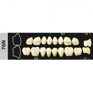 Зубы Major A3,5 76N жевательный низ, 8 шт (Super Lux). st935012 - фото 479237
