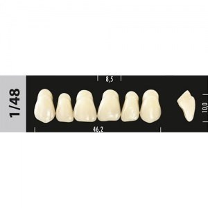 Зубы Major A3 1/48, 28 шт (Super Lux). st496879 - фото 479464