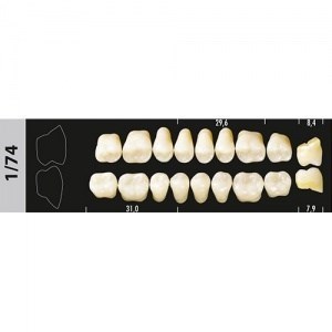 Зубы Major A2 1/74 жевательный низ, 8 шт (Super Lux). st711873 - фото 479583