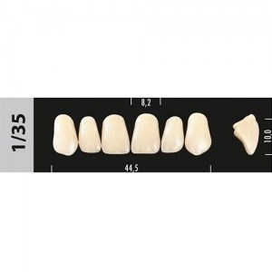 Зубы Major B2 1/35, 28 шт (Super Lux). st648484 - фото 479604