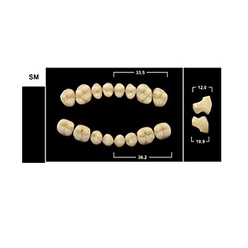 Зубы Yeti A1 SM жевательный низ (Tribos) 8 шт. 21101 - фото 479611