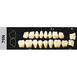 Зубы Major D3 79N жевательный низ, 8 шт (Super Lux) st295772 - фото 479614