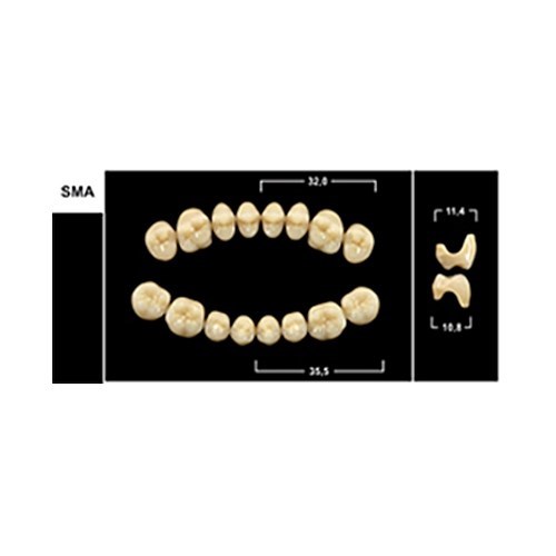 Зубы Yeti A1 SMA жевательный низ (Tribos) 8 шт. 22301 - фото 479627
