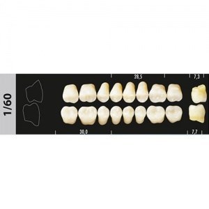 Зубы Major A3,5 1/60 жевательный низ, 8 шт (Super Lux). st453765 - фото 479871