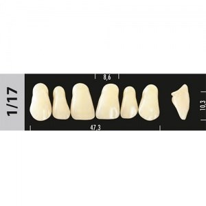 Зубы Major B2 1/17, 28 шт (Super Lux). st29768 - фото 479930