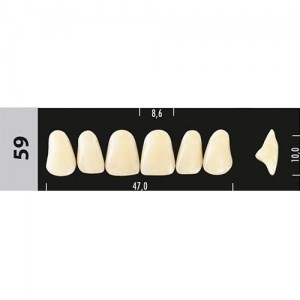 Зубы Major B3 59, 28 шт (Super Lux). st770653 - фото 479998