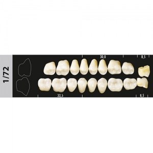 Зубы Major B3 1/72 жевательный верх, 8 шт (Super Lux). st840000 - фото 479999
