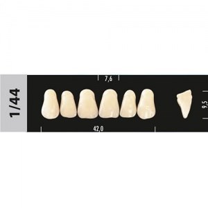 Зубы Major B4 1/44, 28 шт (Super Lux) st342154 - фото 480025