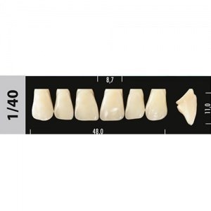 Зубы Major B4 1/40, 28 шт (Super Lux) st56717 - фото 480026