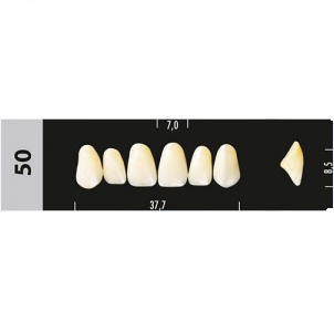 Зубы Major B4 50, 28 шт (Super Lux) st489802 - фото 480033