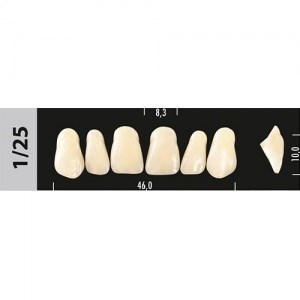 Зубы Major C2 1/25, 28 шт (Super Lux) st417082 - фото 480109