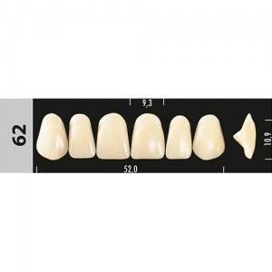 Зубы Major C2 62, 28 шт (Super Lux) st573028 - фото 480117