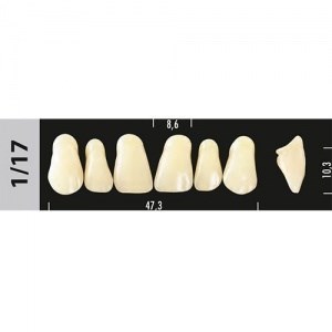 Зубы Major C3 1/17, 28 шт (Super Lux) st720243 - фото 480138