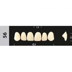 Зубы Major C3 56, 28 шт (Super Lux) st402292 - фото 480145