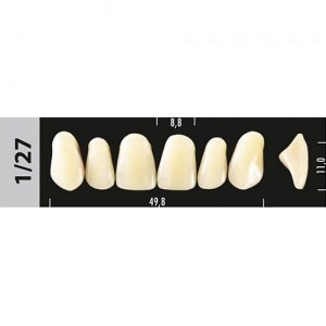 Зубы Major D2 1/27,  28 шт (Super Lux) st792777 - фото 480222