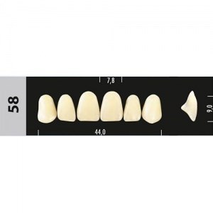 Зубы Major D2 58,  28 шт (Super Lux) st440441 - фото 480230
