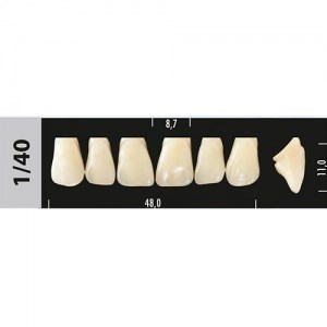 Зубы Major D3 1/40, 28 шт (Super Lux) st750527 - фото 480250