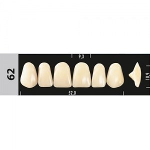 Зубы Major D3 62, 28 шт (Super Lux) st893023 - фото 480268