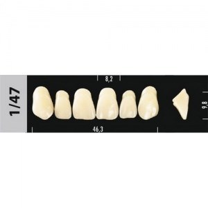 Зубы Major D4 1/47, 28 шт (Super Lux) st727660 - фото 480279