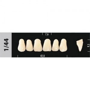 Зубы Major D4 1/44, 28 шт (Super Lux) st170134 - фото 480282