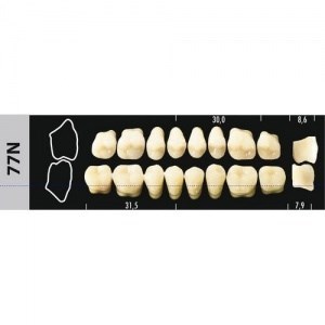 Зубы Major D4 77N жевательный низ, 8 шт (Super Lux) st980754 - фото 480294