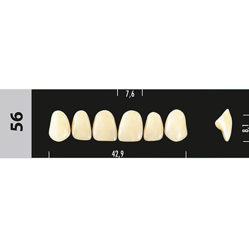 Зубы Major B4 56, 28 шт (Super Lux) st610668 - фото 480324
