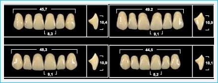 Зубы Yeti A1 SLA жевательный низ (Tribos) 8 шт. 22101 - фото 480347