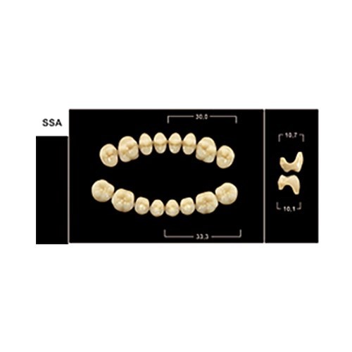 Зубы Yeti A3 SSA жевательный низ (Tribos) 8 шт. 22503 - фото 480370