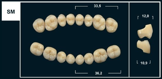 Зубы Yeti A4 SM жевательный верх (Tribos) 8 шт. 21005 - фото 480399