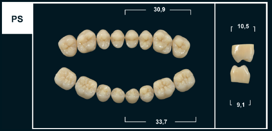 Зубы Yeti B1 PS жев. низ (Tribos) 8 шт. 20306 - фото 480422