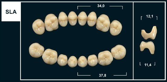 Зубы Yeti C3 SLA жевательный низ (Tribos) 8 шт. 22112 - фото 480529