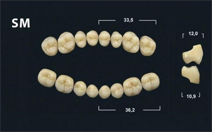Зубы Yeti BL3 SM жевательный низ (Tribos) 8 шт. 21117 - фото 480546