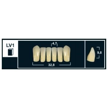 Зубы Yeti B1 LV1 фронтальный низ (Tribos) 6 шт. 25706 - фото 480590