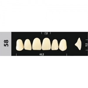 Зубы Major D4 58, 28 шт (Super Lux) st406721 - фото 481613