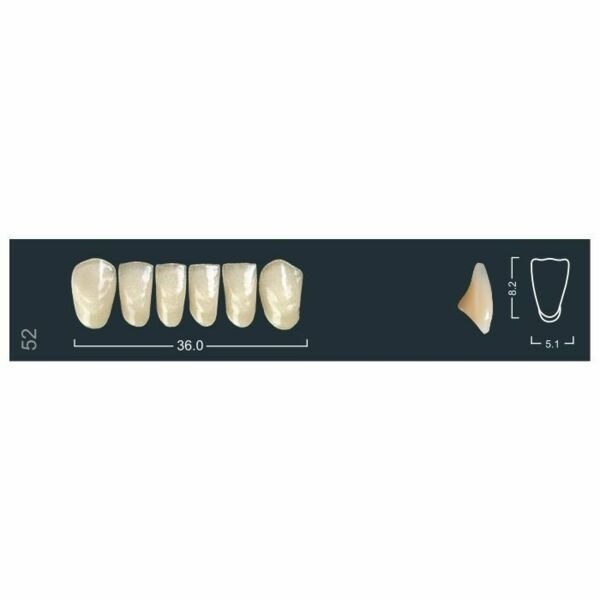 Ivocryl Set A-D - набор фронтальных нижних зубов, LUK52 A3, 6 шт 630826 - фото 482163