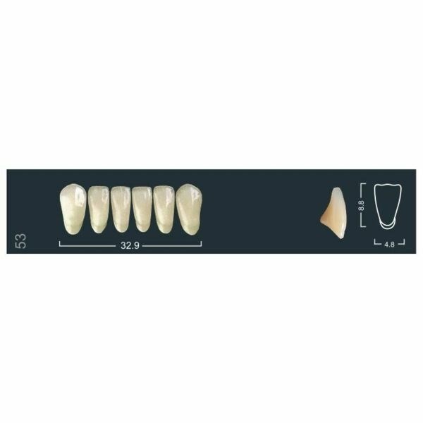 Ivocryl Set A-D - набор фронтальных нижних зубов, LUK53 A3, 6 шт 630846 - фото 482239