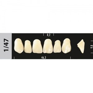 Зубы Major C1 1/47, 28 шт (Super Lux) st622389 - фото 482419