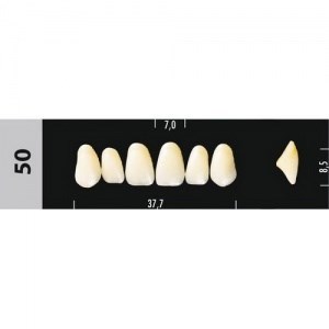 Зубы Major D4 50, 28 шт (Super Lux) st107892 - фото 482433