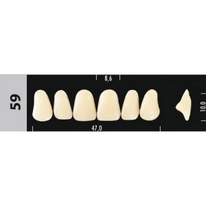 Зубы Major D4 59, 28 шт (Super Lux) st364990 - фото 482434