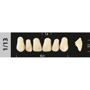 Зубы Major C4 1/13, 28 шт (Super Lux) st345596 - фото 483440