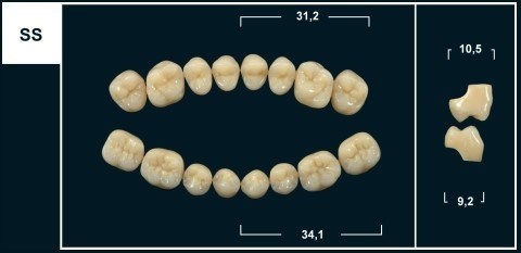 Зубы Yeti C3 SS жевательный низ (Tribos) 8 шт. 21312 - фото 483492