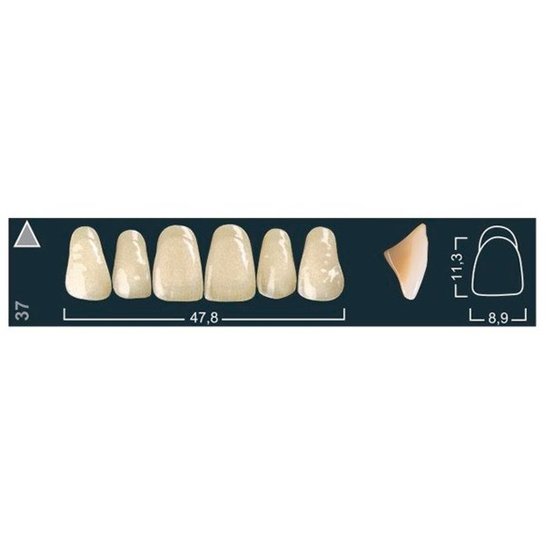 Ivocryl Set A-D - набор фронтальных верхних зубов, UOK37 C1, 6 шт 630793 - фото 484020