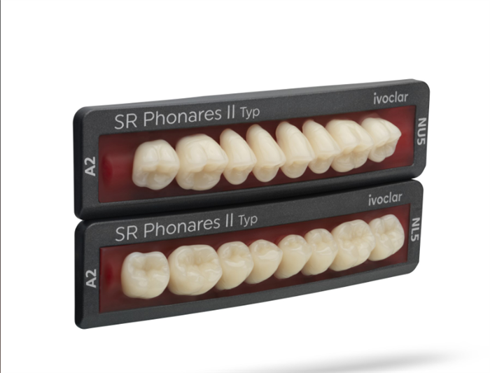 Зубы SR Phonares II Typ Набор из 8 зубов жевательный верх NU5 А2 645385 - фото 484163