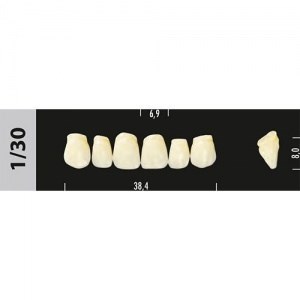 Зубы Major C4 1/30, 28 шт (Super Lux) st21494 - фото 484266