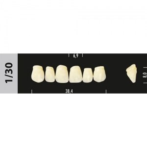 Зубы Major D4 1/30, 28 шт (Super Lux) st769507 - фото 484492