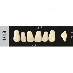 Зубы Major C2 1/13, 28 шт (Super Lux) st988926 - фото 484804