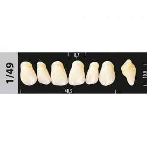 Зубы Major D2 1/49, 28 шт (Super Lux) st955709 - фото 484808